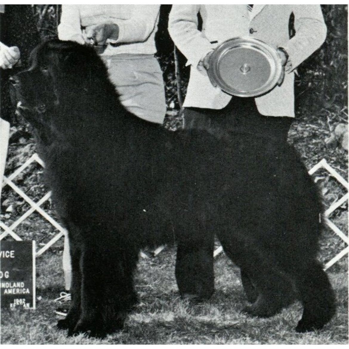 R Apogees Grizzly Adam (08-12-1979)